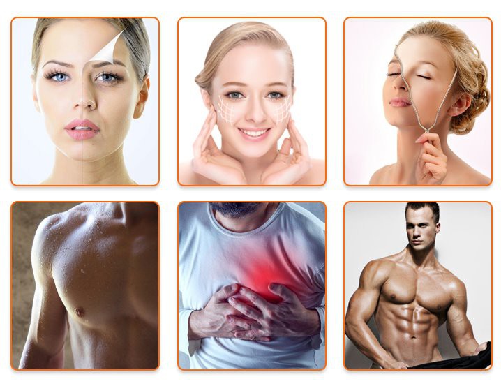 passion flower extract powder perfect supplier